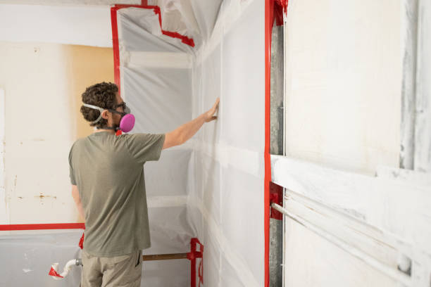 Best Post-Construction Mold Inspection  in Mount Washington, KY