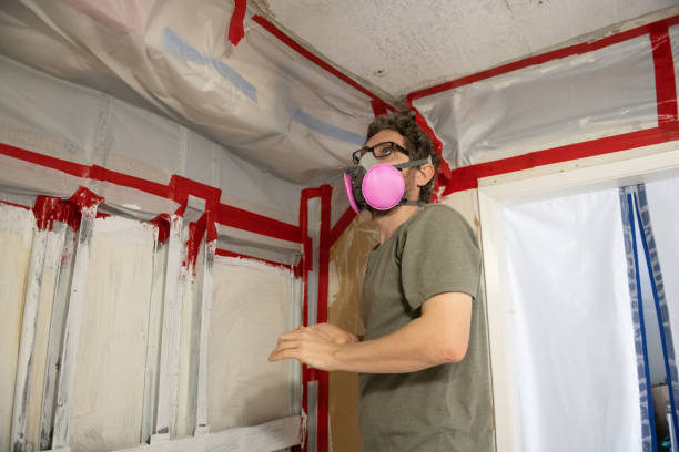 Best Asbestos and Lead Testing During Mold Inspection  in Mount Washington, KY