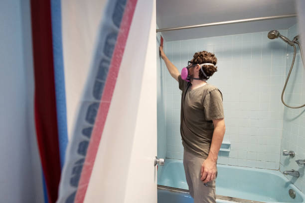Mold Removal for HVAC Installations in Mount Washington, KY