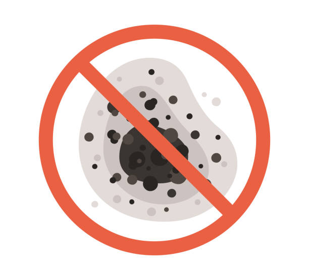 Reliable Mount Washington, KY Mold Removal Solutions