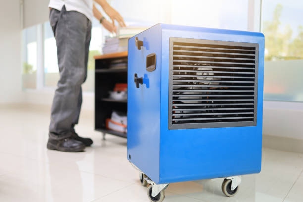 Best Mold Odor Removal Services  in Mount Washington, KY