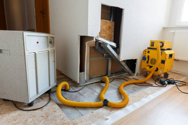  Mount Washington, KY Mold Removal Pros